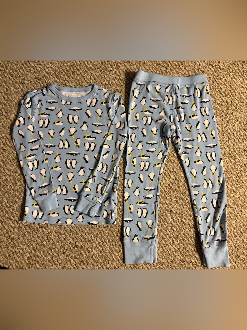 Crewcuts Light Blue Penguin Print Pajama Set, Size 5